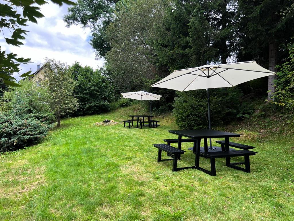 Schwarzwald Apartments im Haus Tanneck - Feldberg - Titisee - 12