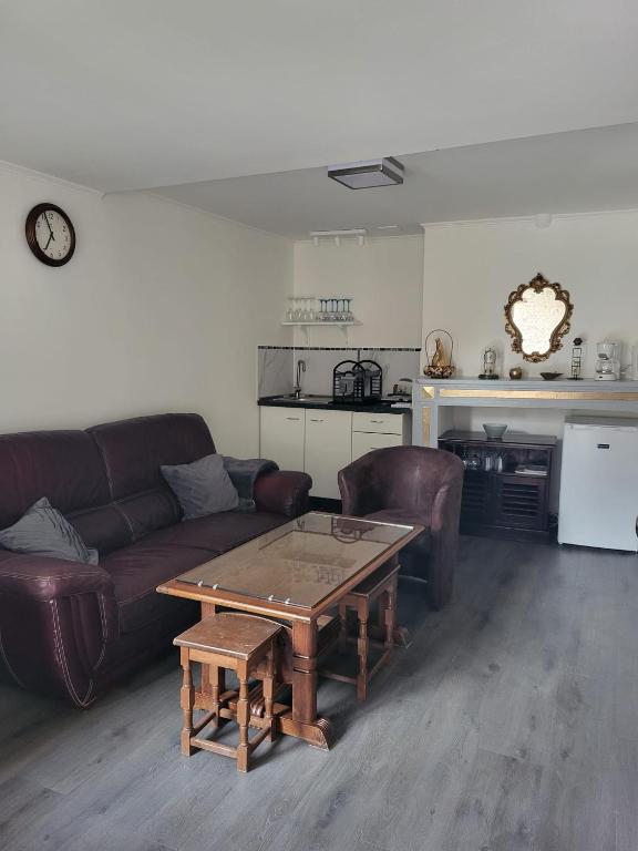 un salon avec un canapé et une table basse dans l'établissement Gîte Studio Armen 3 Masson de Morfontaine, à Bar-sur-Aube