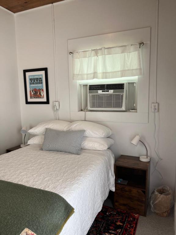 Dragonfly Cottage 1 of 5 listings downtown - Suite D'une Chambre