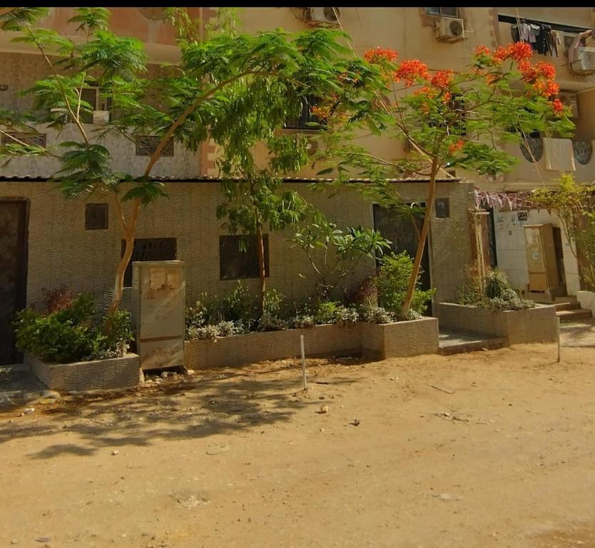 a building with trees and plants in front of it at شقة فندقية للايجار in Nazlat as Sammān