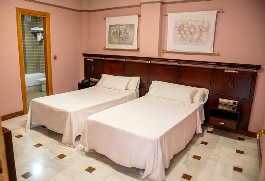Hotel Don Miguel Plaza - Double Or Twin Room
