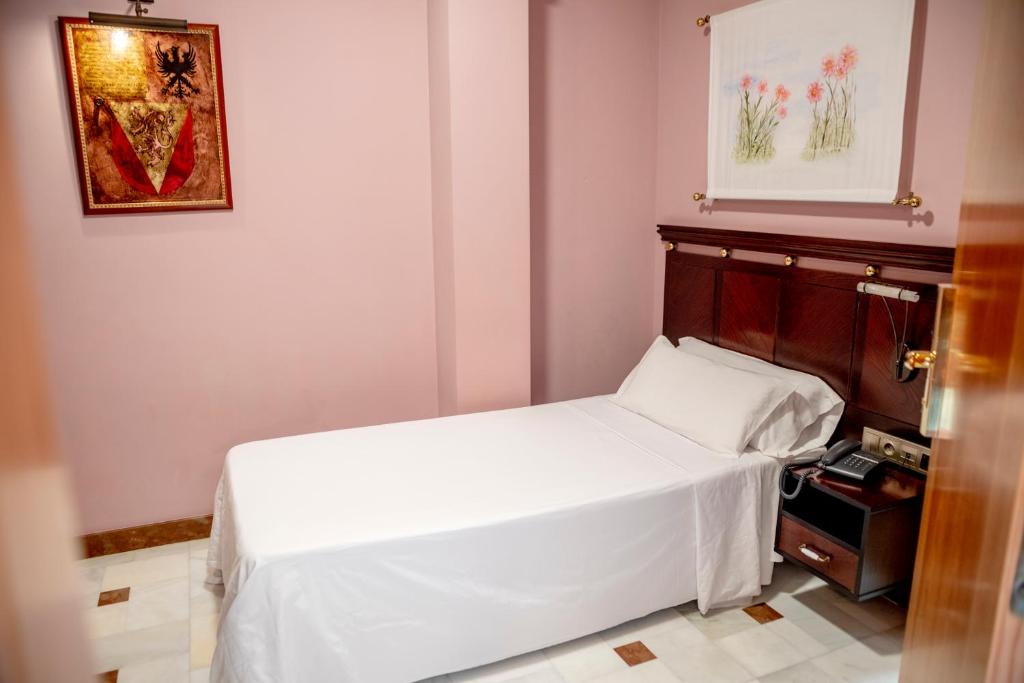 Hotel Don Miguel Plaza - Single Room