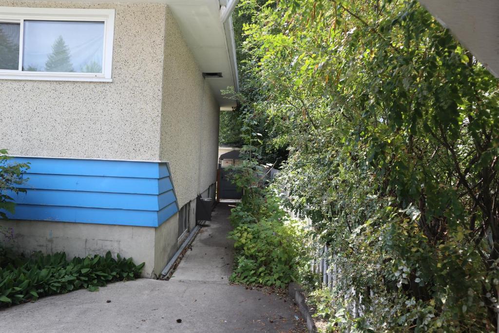 Calgary's Home Cinema Retreat photo