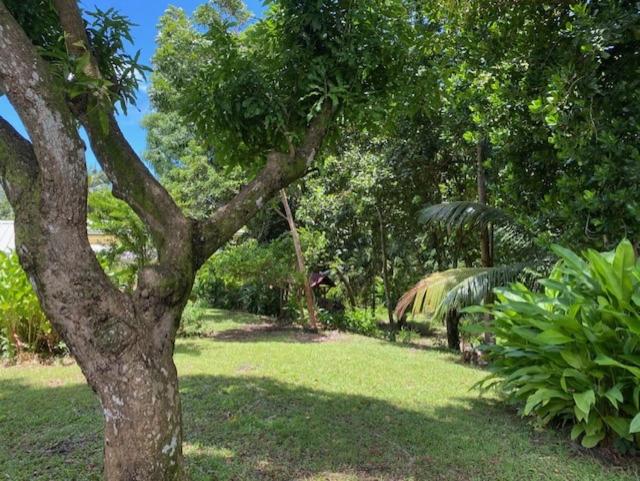 Zahrada ubytování Villa Coco Caraïbes