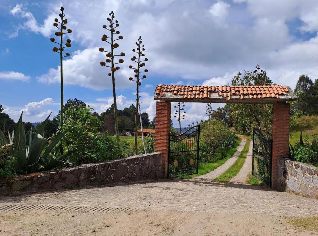 Zahrada ubytování Cabañas Montebello