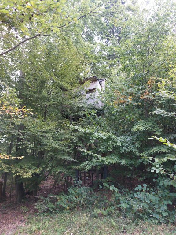 Zahrada ubytování Tree house with private meadow in the middle of the forest