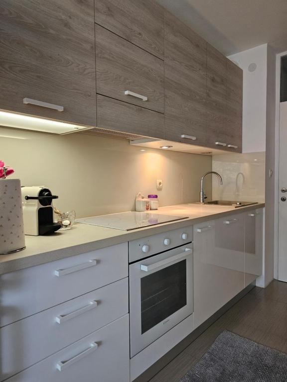 Kuchyňa alebo kuchynka v ubytovaní Joop Apartment