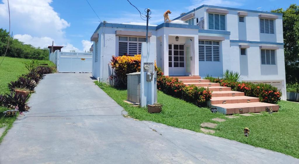 une maison blanche avec un trottoir devant elle dans l'établissement Rincon Familiar, à Arecibo