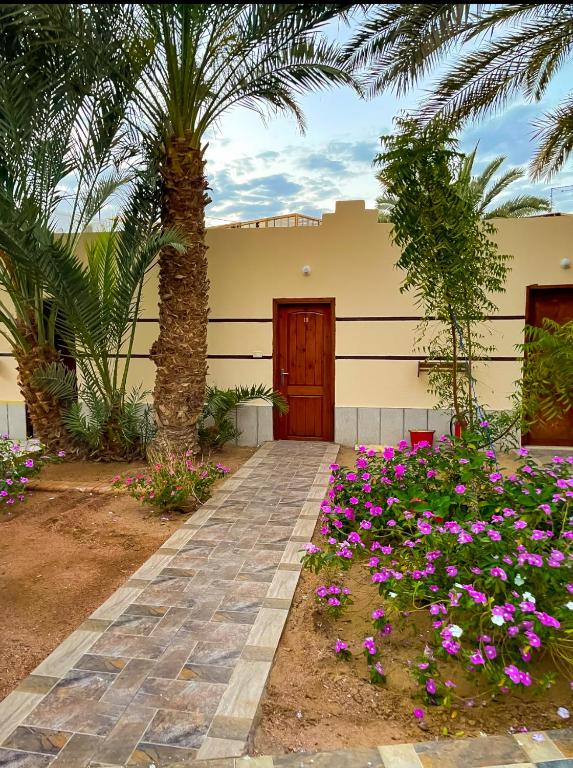 Zahrada ubytování Miramar Camp Dahab
