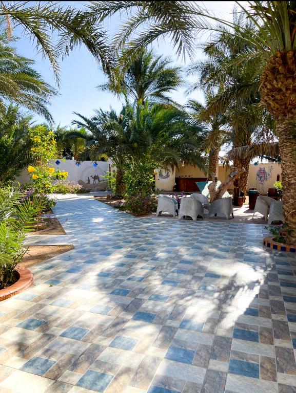 Zahrada ubytování Miramar Camp Dahab