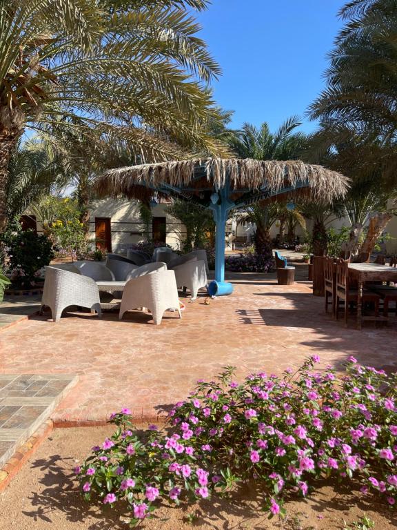 Zahrada ubytování Miramar Camp Dahab