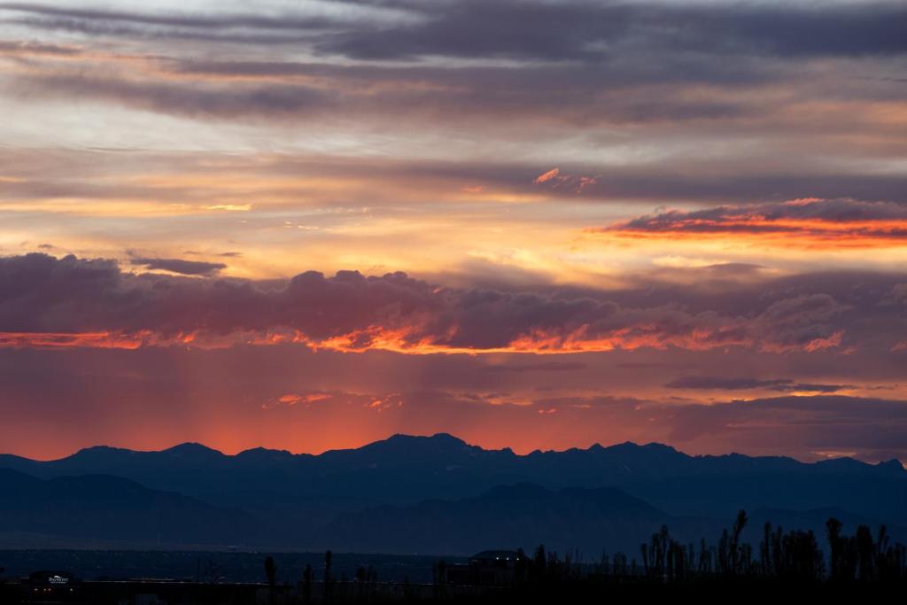 Gaylord Rockies Resort & Convention Center - Mountain View King Con Divano Letto