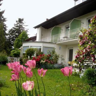 Zahrada ubytování Hotel Ebnet Garni
