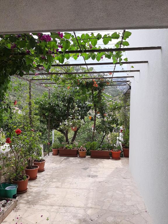 Vonkajšia záhrada v ubytovaní Apartments with a parking space Trpanj, Peljesac - 11545