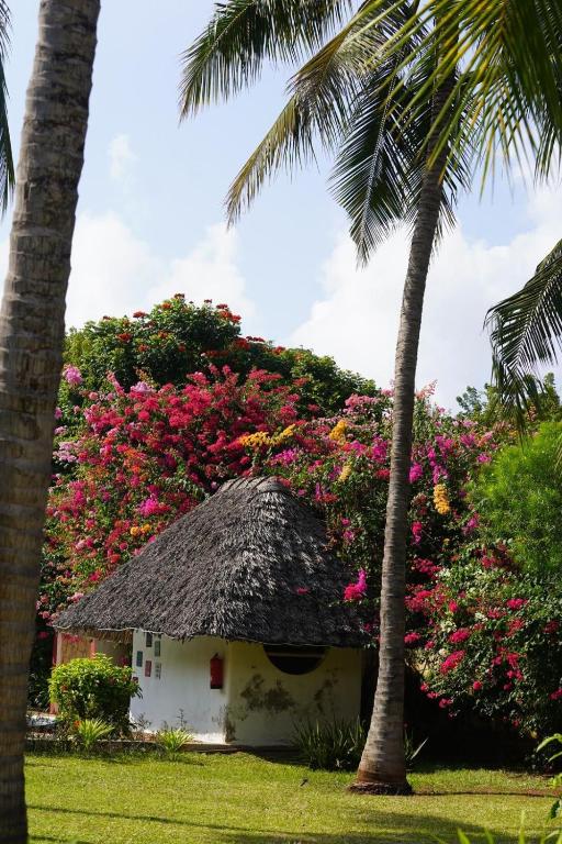 Zahrada ubytování peeKAboo Diani Beach