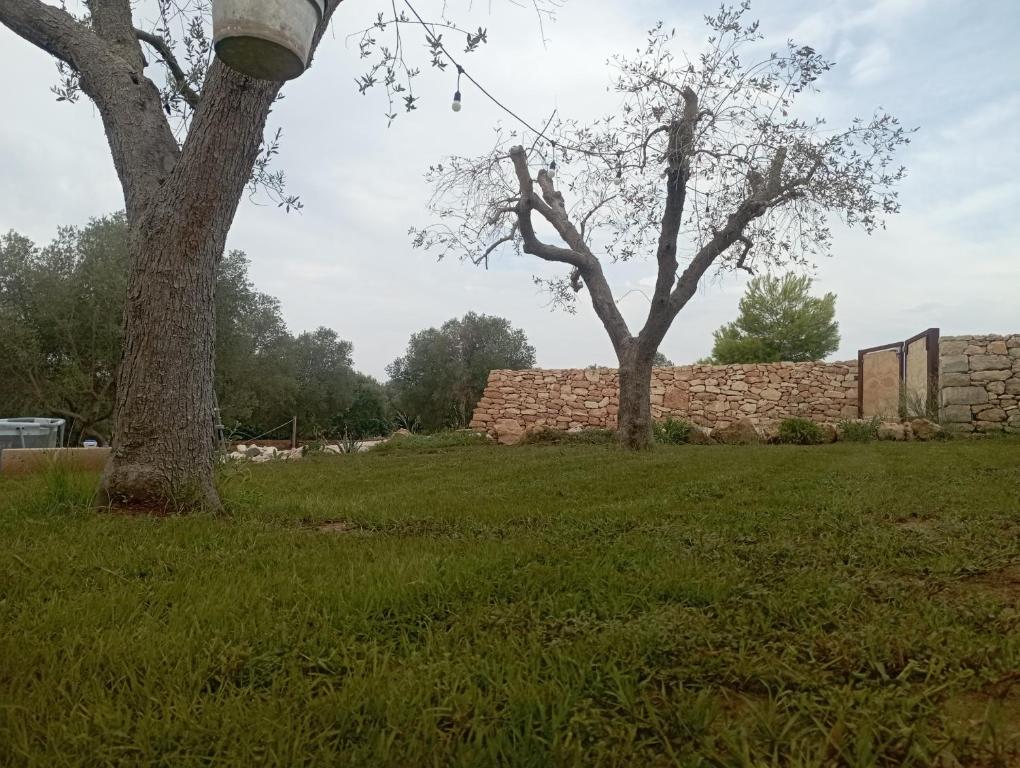 Zahrada ubytování Tenuta L'uliveto