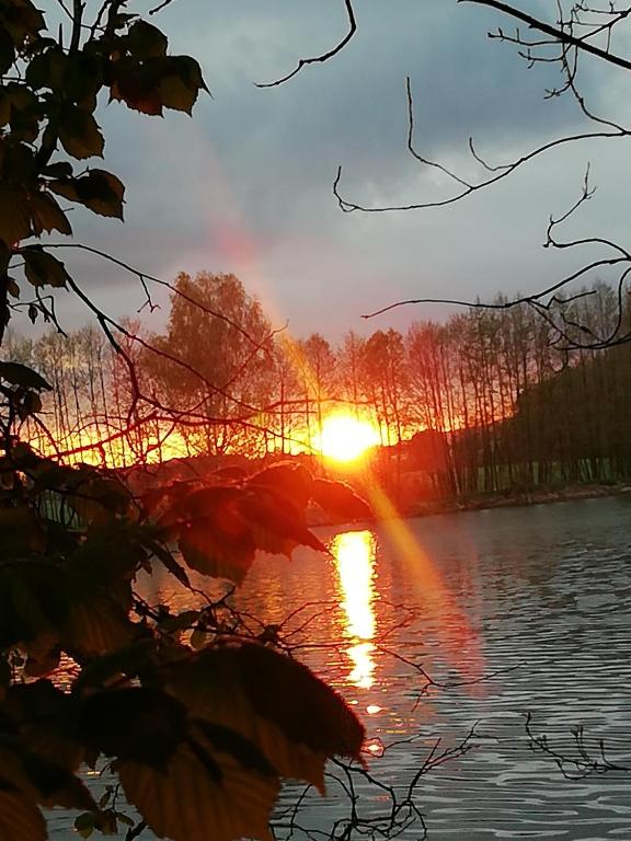 Príroda v okolí farmy