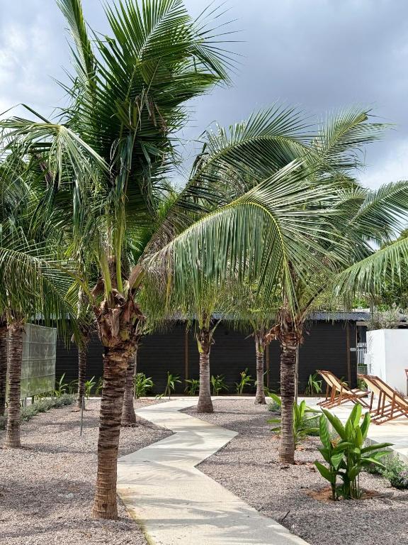 Vườn quanh Wanderlust garden inn