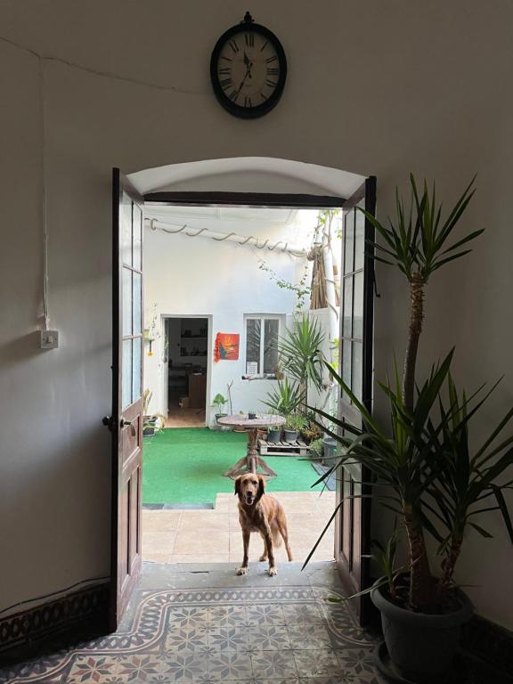 Fotografie z fotogalerie ubytování Ottoman Architecture House v destinaci Çağlayan