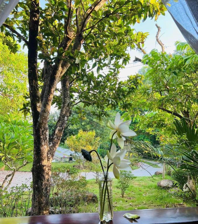 Zahrada ubytování Son Home Garden