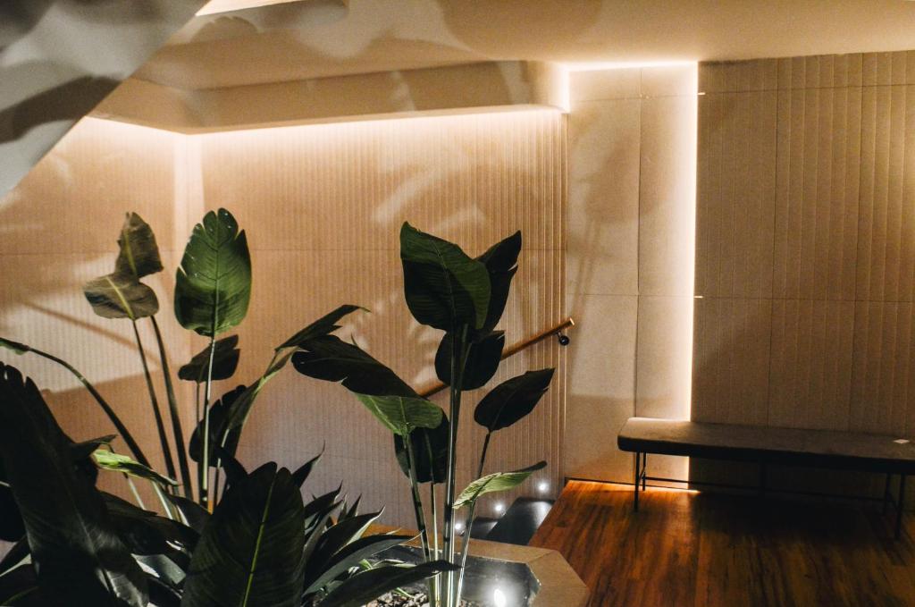 Tribu Malasaña - Resim 39