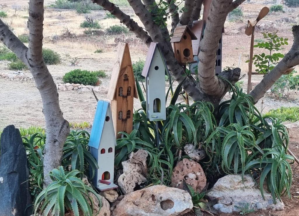 a bird house in a tree in a garden at Domatia me Thea in Elafonisos