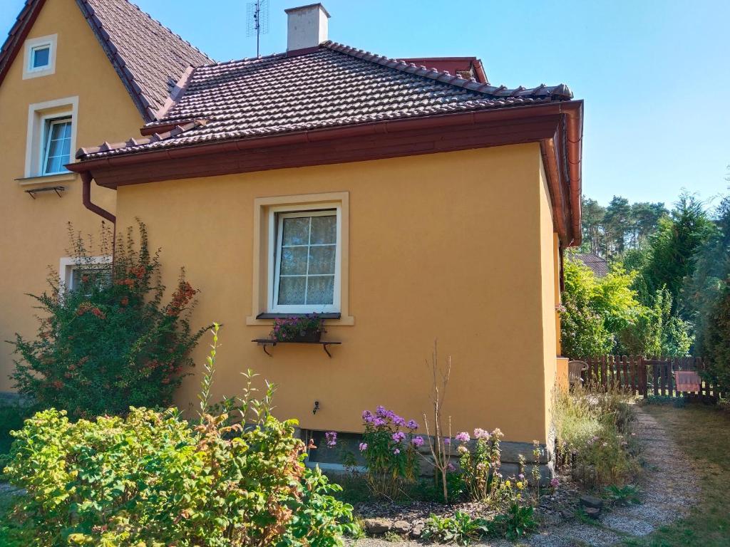 Zahrada ubytování Apartmán Marta
