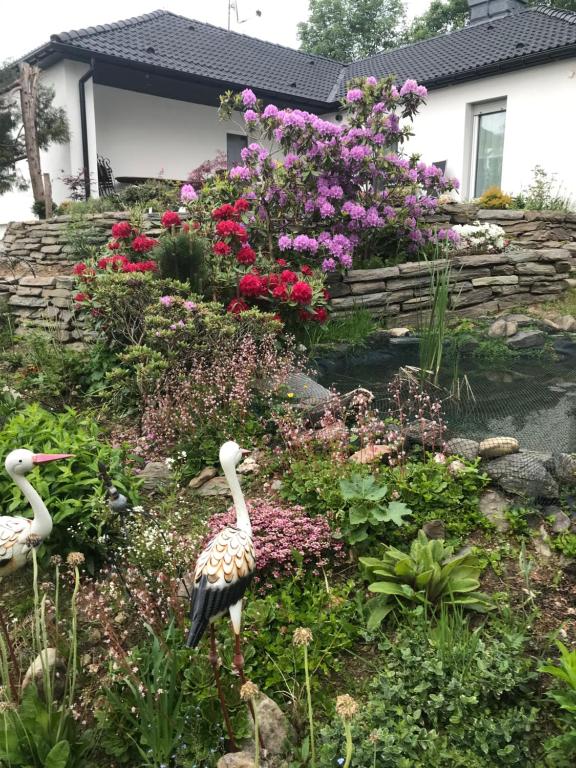 Waldpension-Mazur