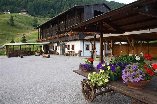 Příroda nedaleko hotelu