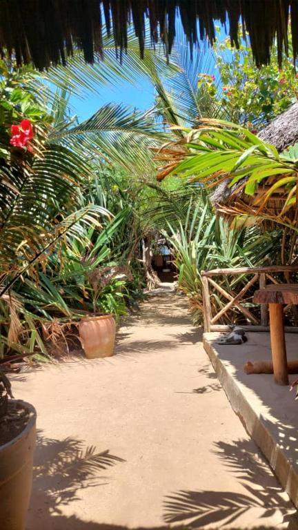 Zahrada ubytování Mtende Beach Bungalow océan view & secret Beach
