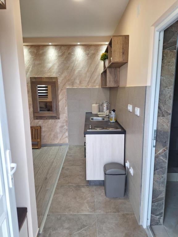 Kuchyň nebo kuchyňský kout v ubytování Apartments Green Beograd