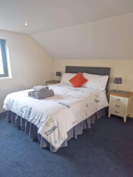 a bedroom with a bed with white sheets and red pillows at The Bedsit in Pembrokeshire