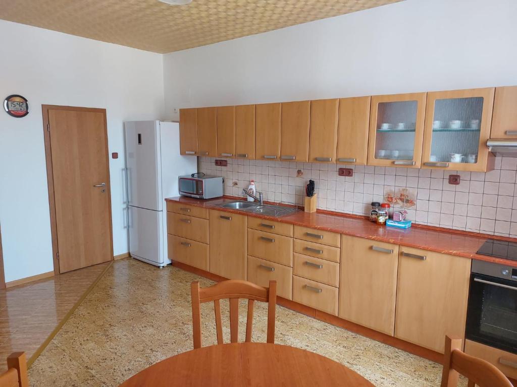 Kuchyň nebo kuchyňský kout v ubytování Apartmán Nová Cerekev
