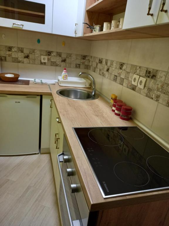 Kuhinja oz. manjša kuhinja v nastanitvi Divčibare apartmani Gavrić
