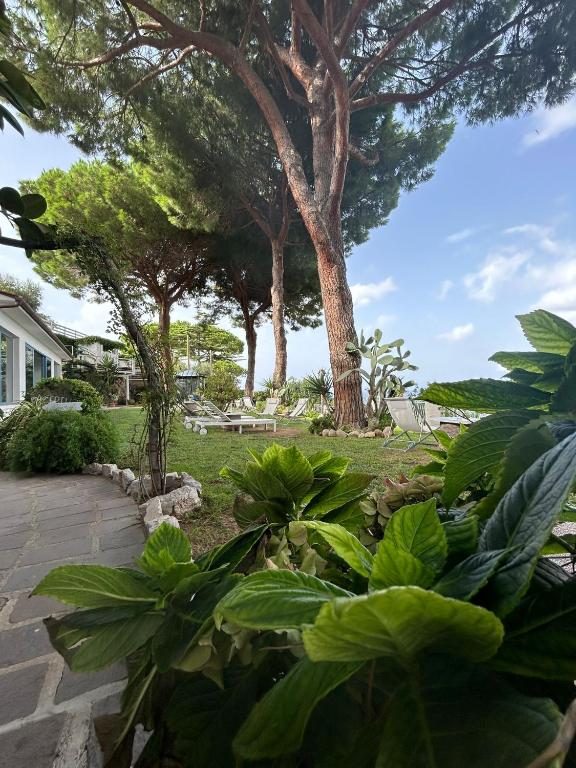 Zahrada ubytování Hotel Sant'Andrea