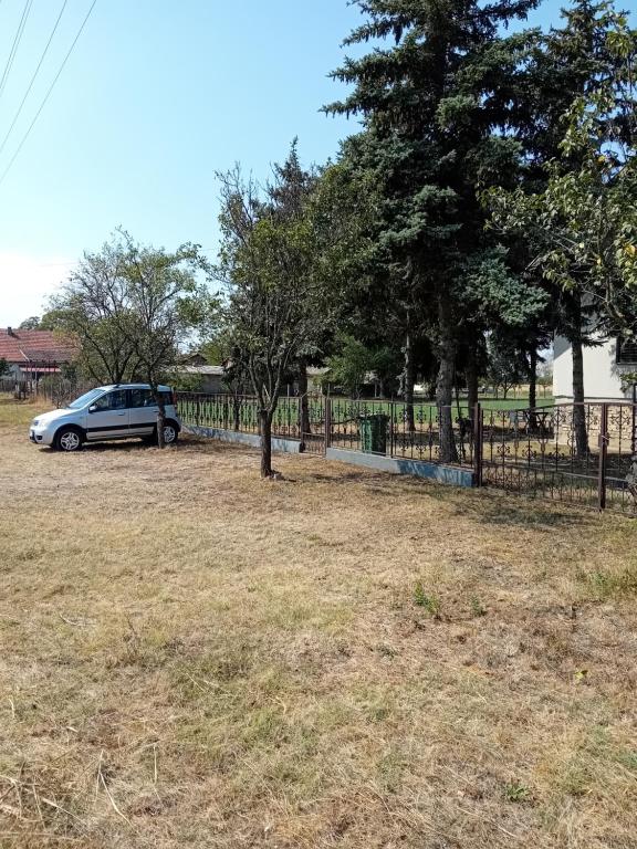 Zahrada ubytování Bački Raj
