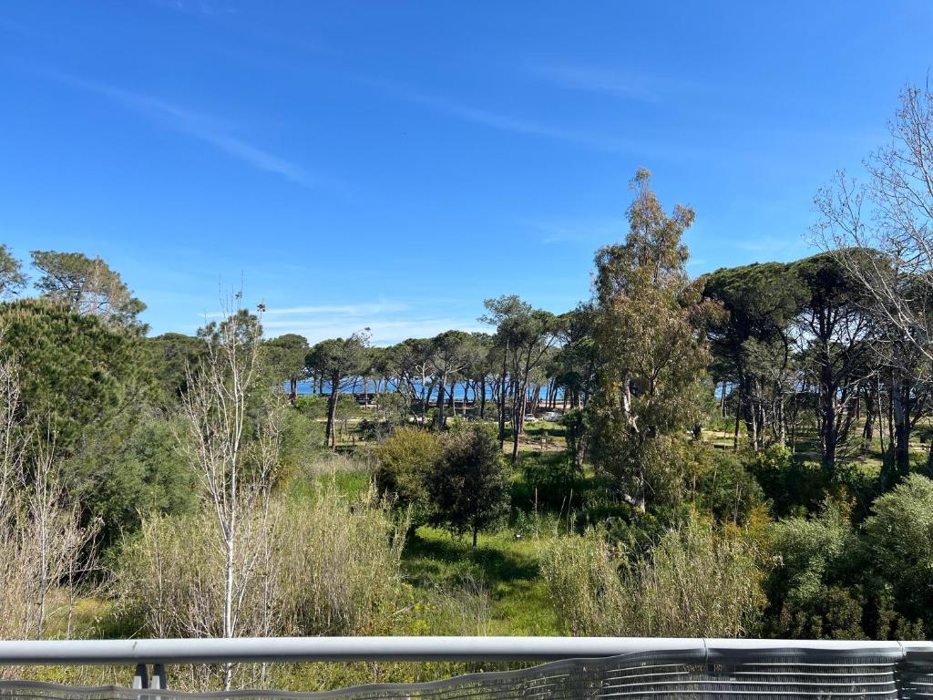 une vue sur un champ planté d'arbres du côté d'une route dans l'établissement T3 Pibede face à la plage, à Calvi