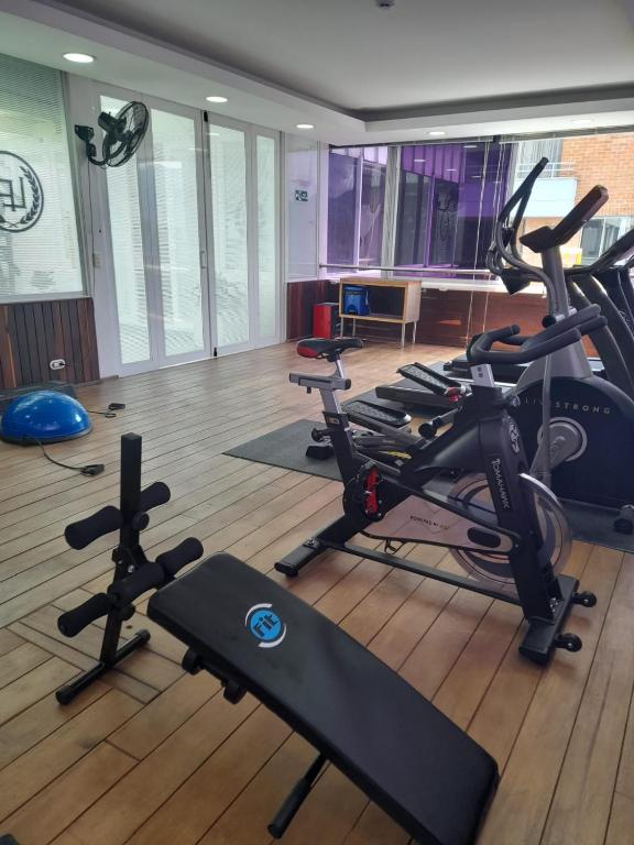Fitness centrum a/nebo fitness zařízení v ubytování Hotel Du Parc