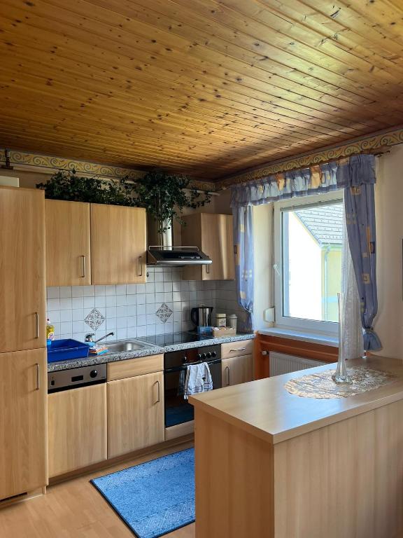 Kuchyň nebo kuchyňský kout v ubytování Retro Wohnung Niklasdorf