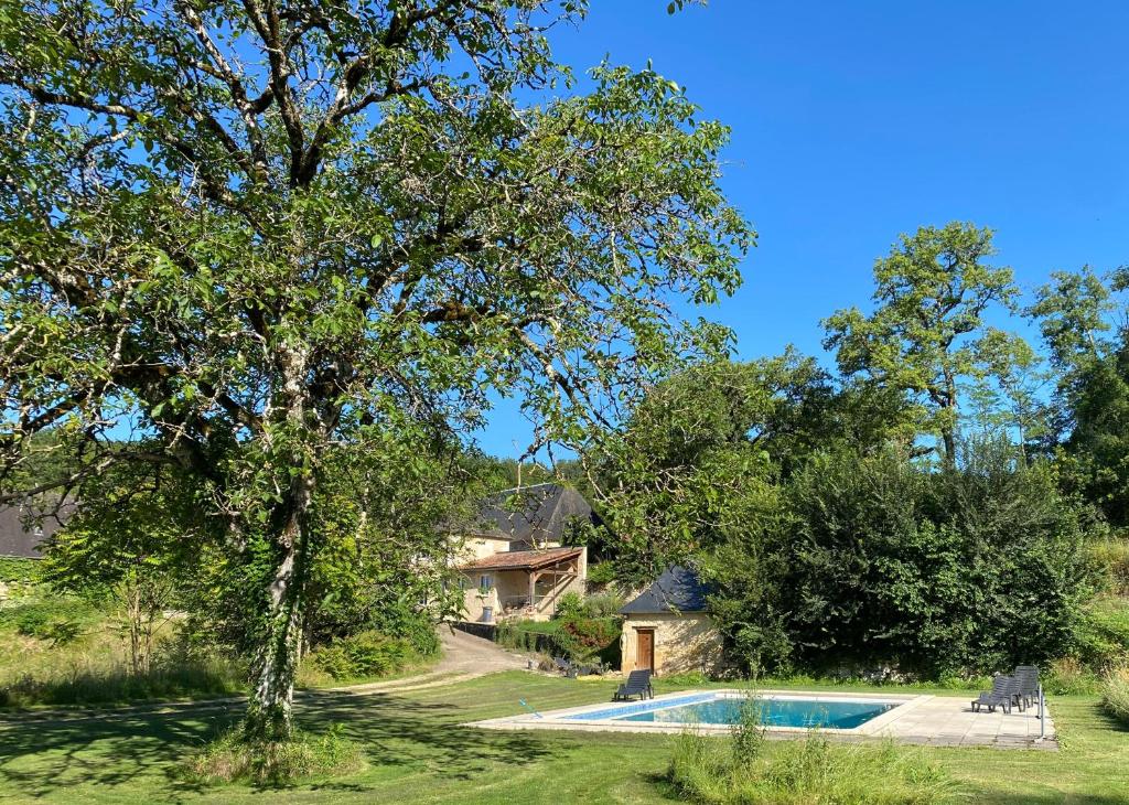 ein Pool vor einem Haus mit einem Baum in der Unterkunft Chapel Cottage in La Bachellerie