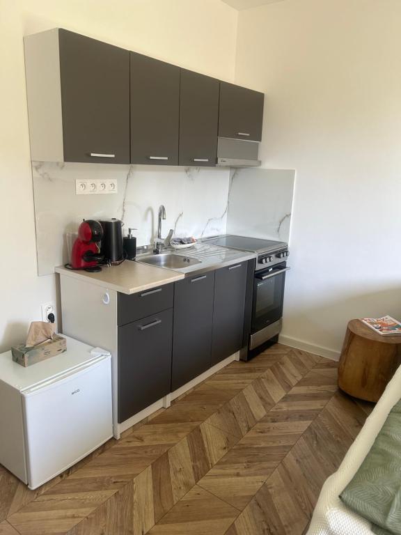 Kuchyň nebo kuchyňský kout v ubytování Apartmán Stanka 003