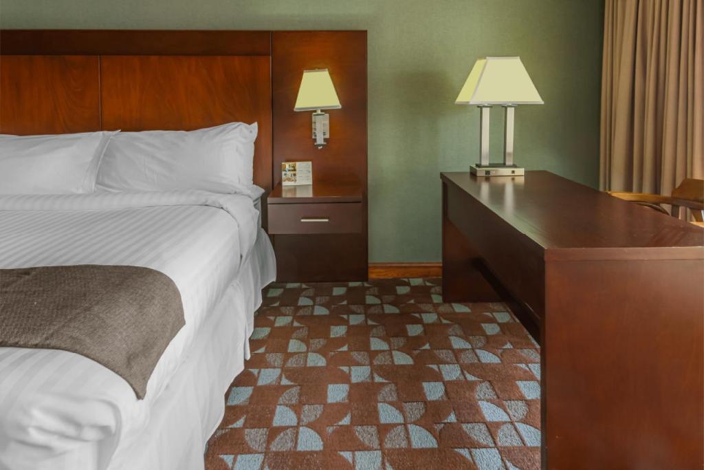 Postel nebo postele na pokoji v ubytování Hotel Plaza San Martin