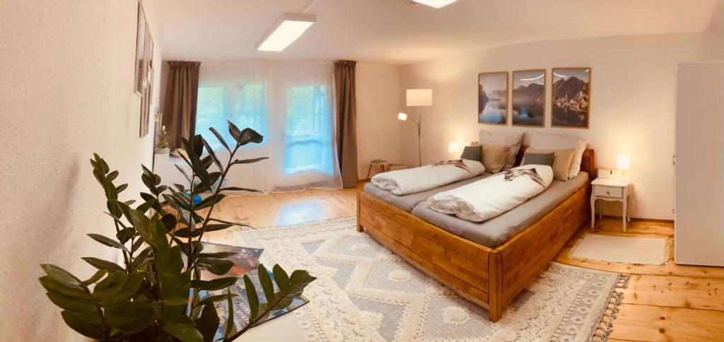 a living room with a bed and a plant in it at Eistänzer Nest in Oberstdorf