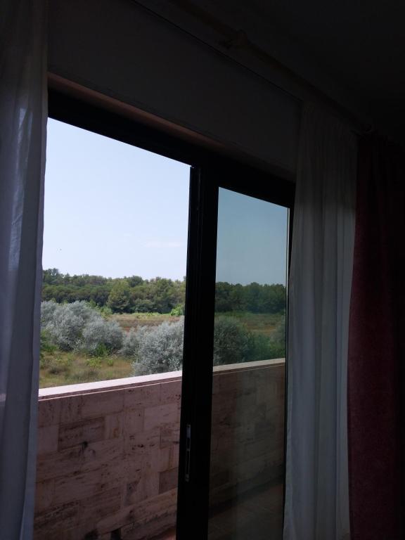 Příroda nedaleko hotelu
