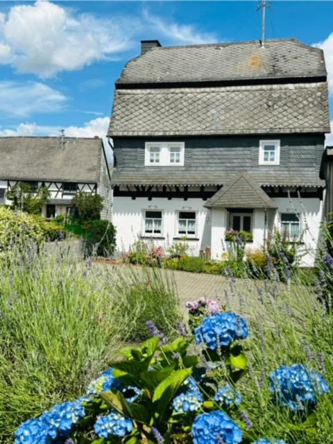 a large white house with a gray roof at Ferienhaus Sosberg in Sosberg