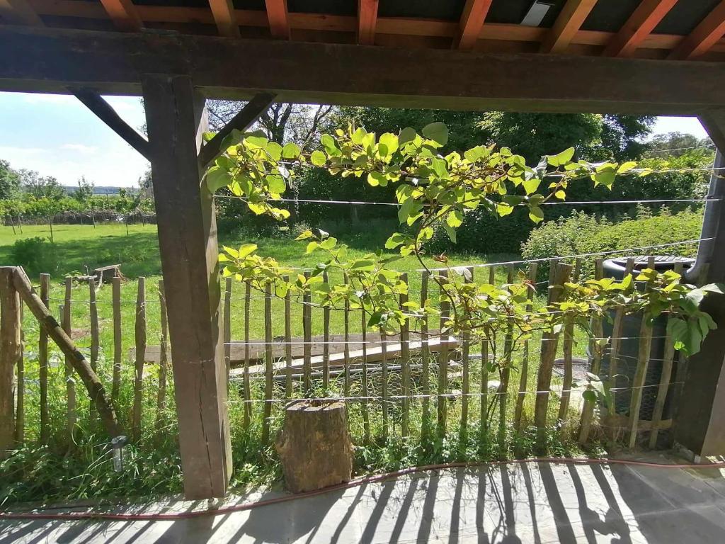Zahrada ubytování Une Cabane au Verger
