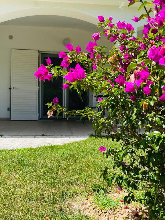 Zahrada ubytování TOT apartment