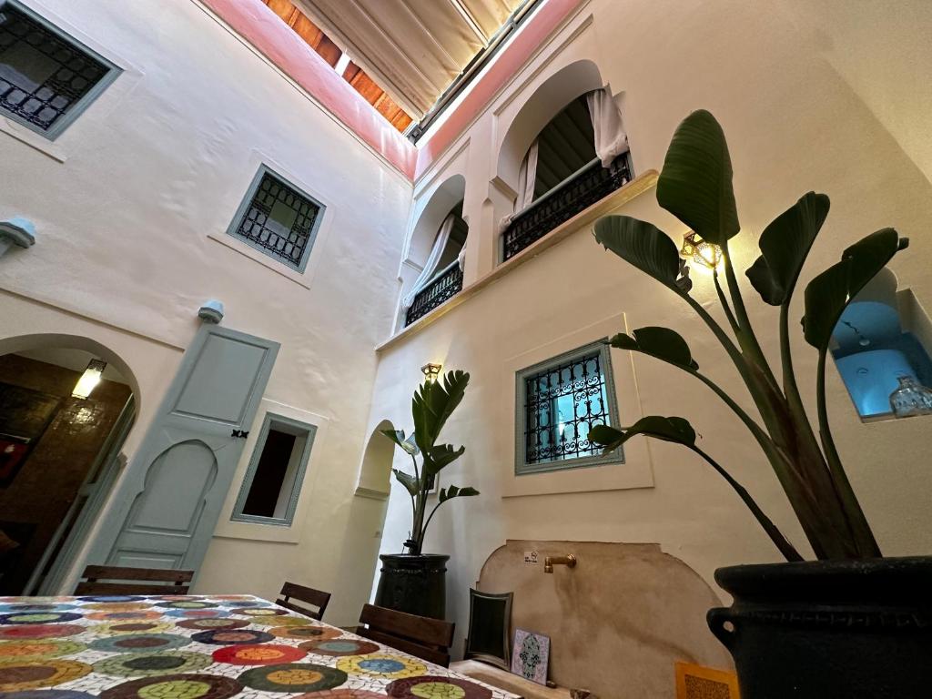 Dar Ibo- Entire House- — photo 4