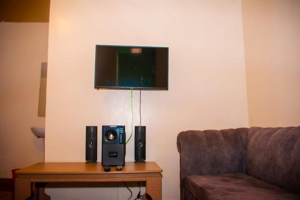 TV a/nebo společenská místnost v ubytování Tish Sagana Endalo apartments