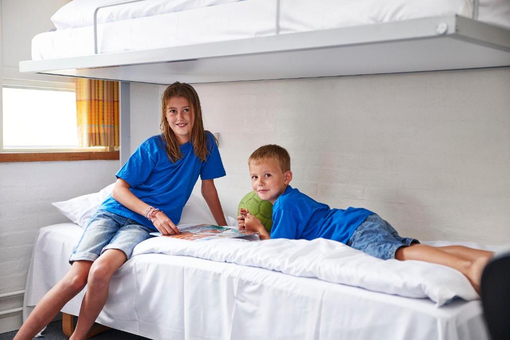 Majutusasutuse Danhostel Ribe külastajad